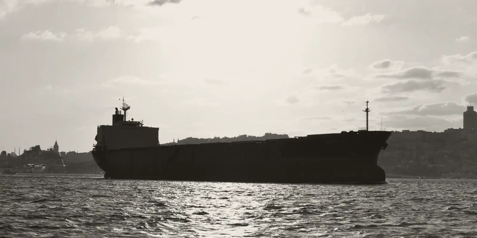 A bulk carrier at anchor near a city shore.