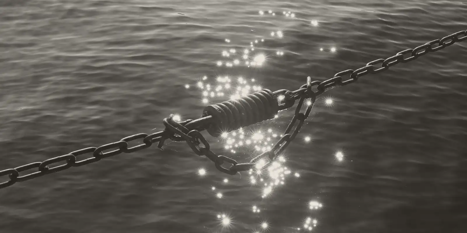 An anchor chain running into sunlit water.